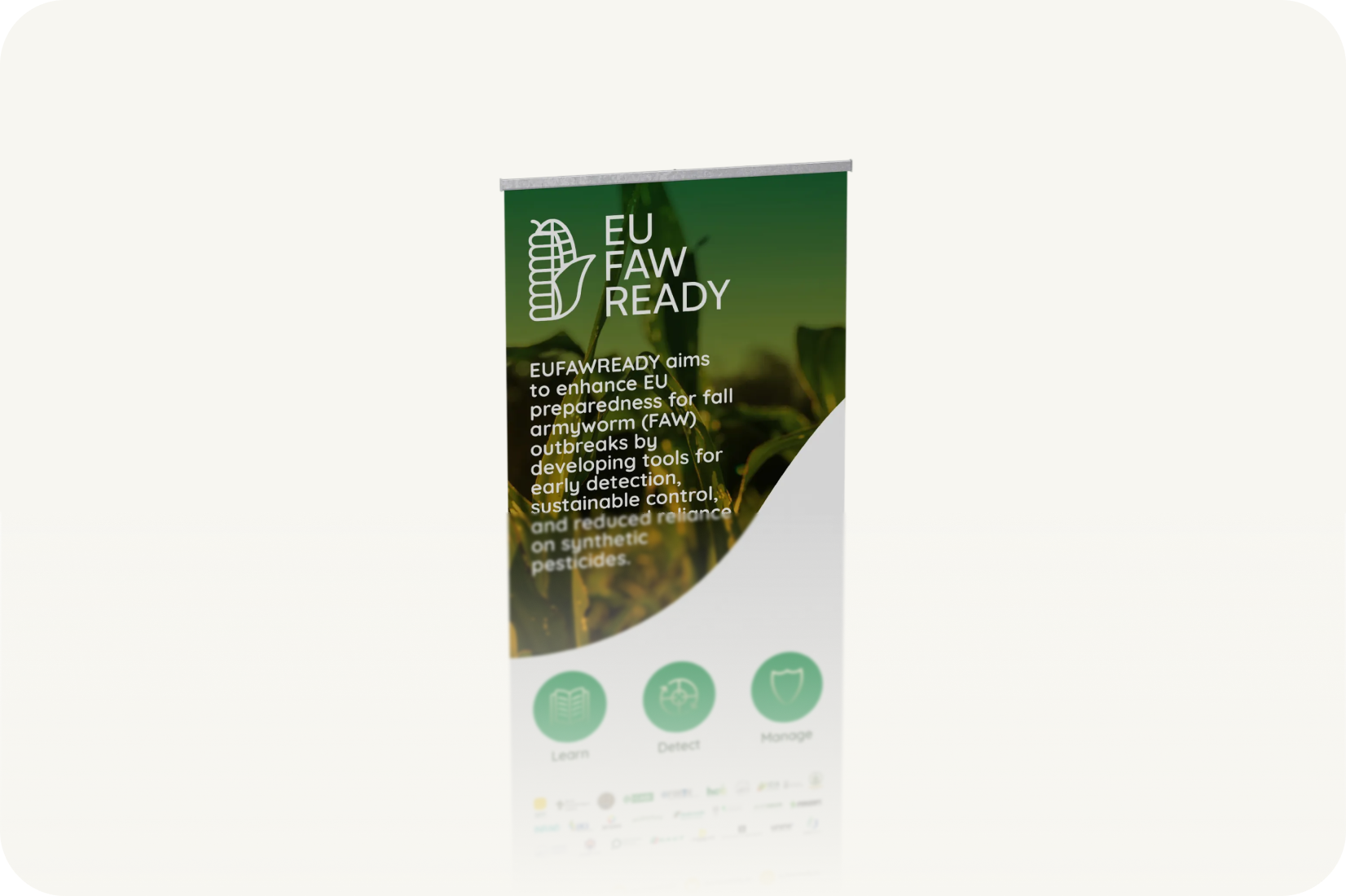 Alternate roll-up banner promotional flyer preview