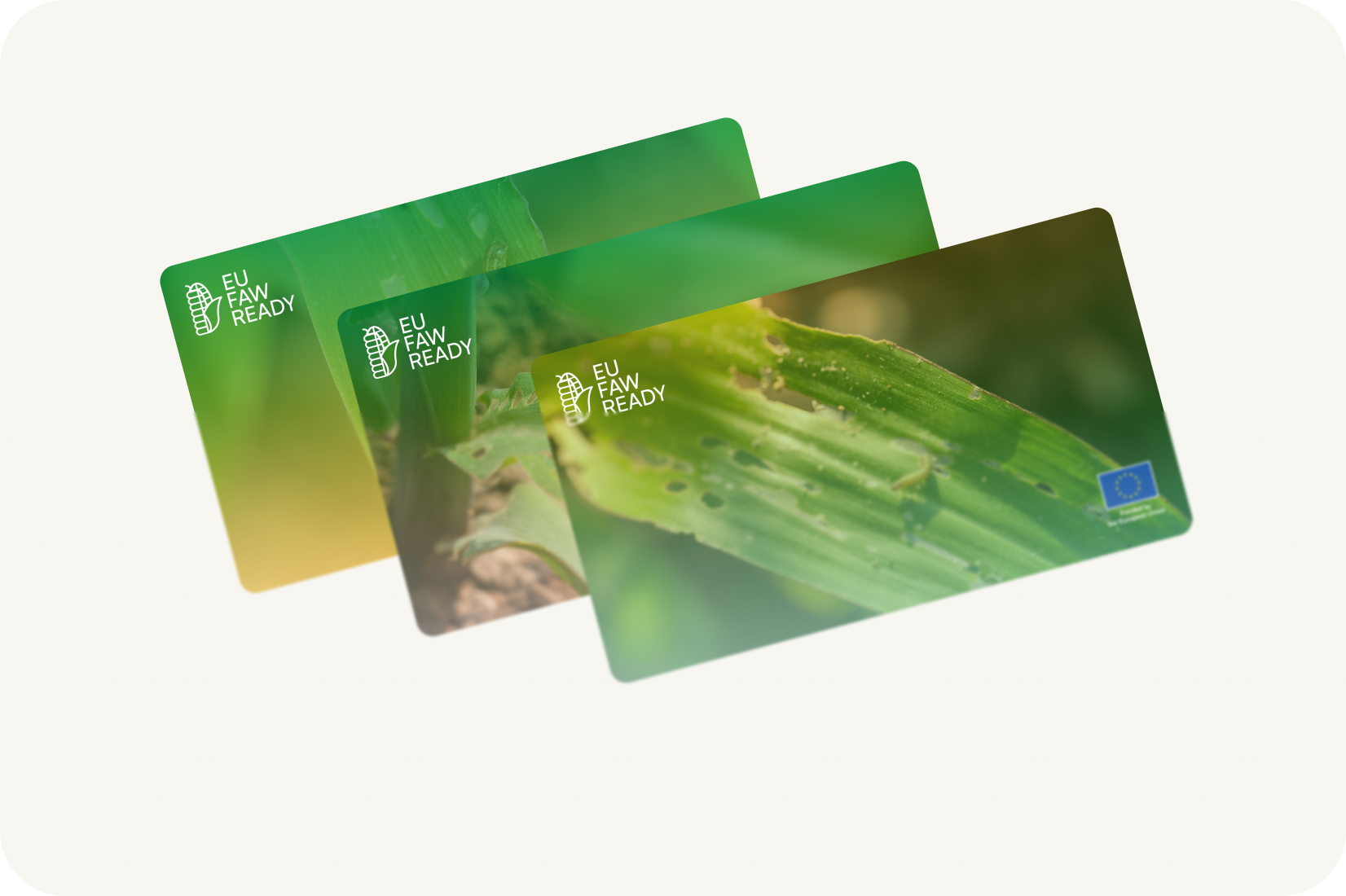 Online meeting backgrounds promotional flyer preview