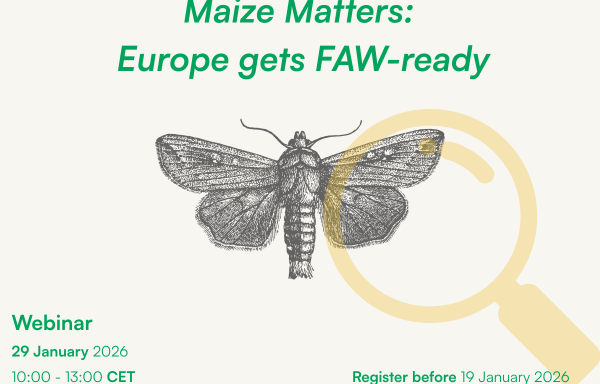 Maize Matters: Europe gets FAW-ready