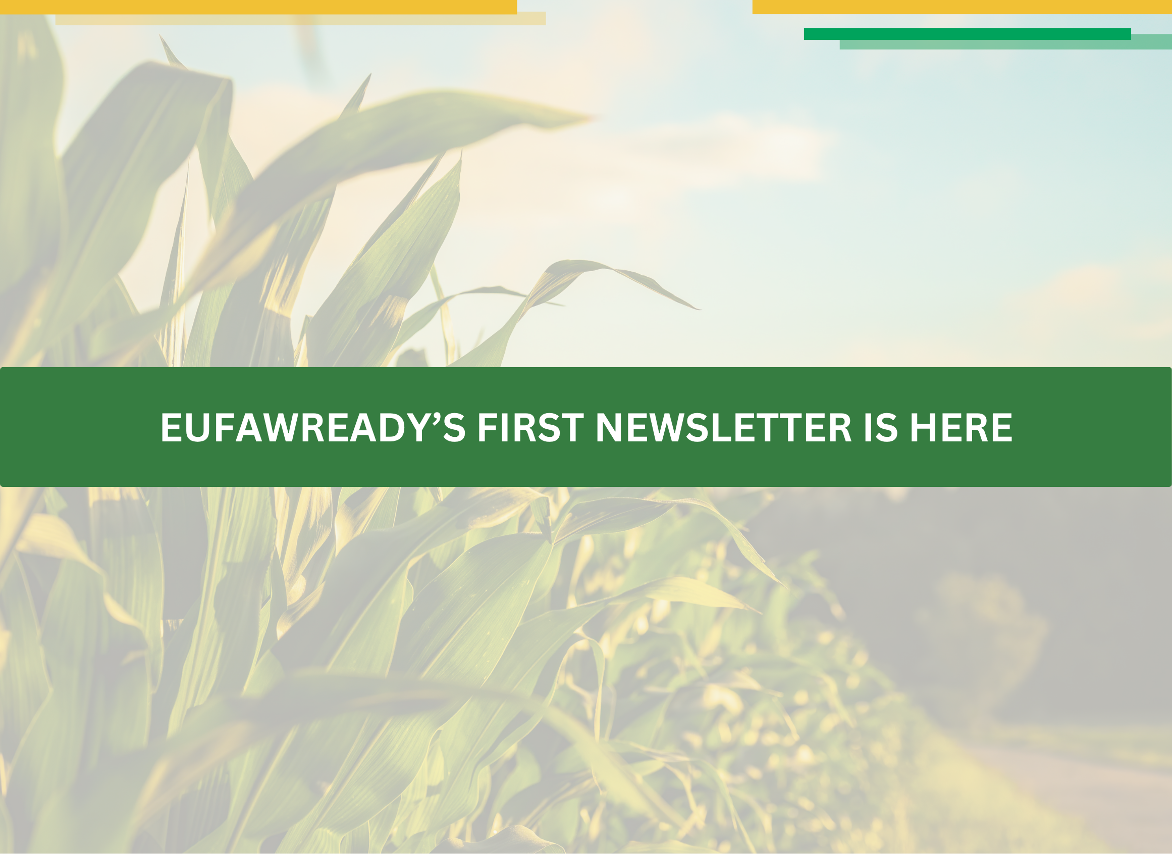 Newsletter cover - Issue 1